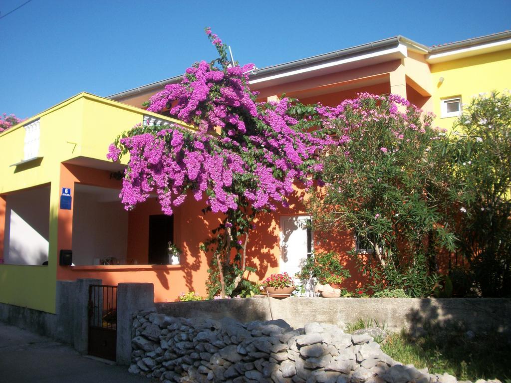 Apartments Mirjana Petrčane Kültér fotó