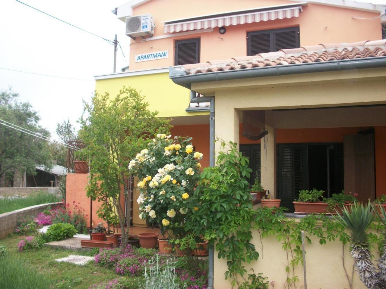 Apartments Mirjana Petrčane Kültér fotó