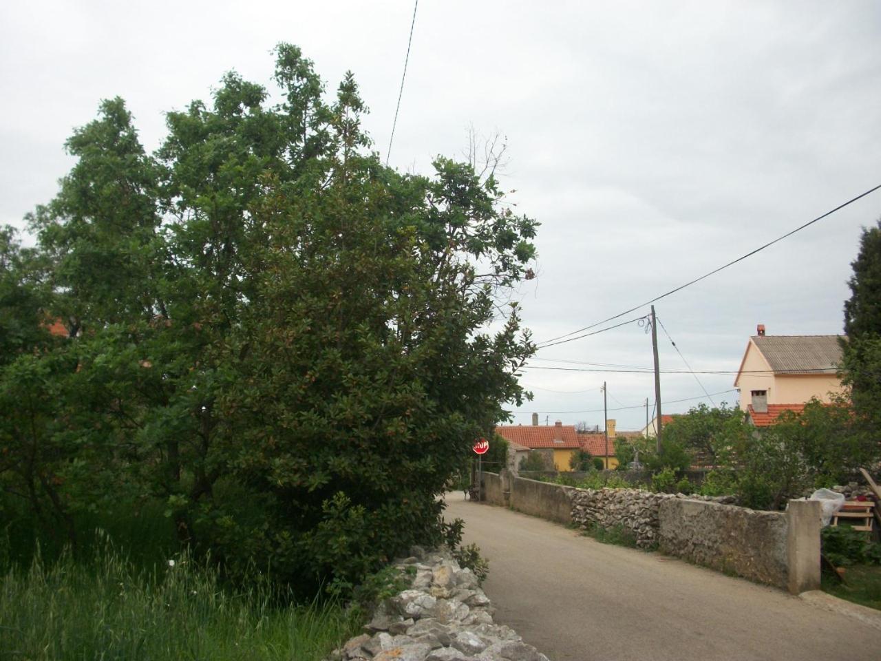 Apartments Mirjana Petrčane Kültér fotó
