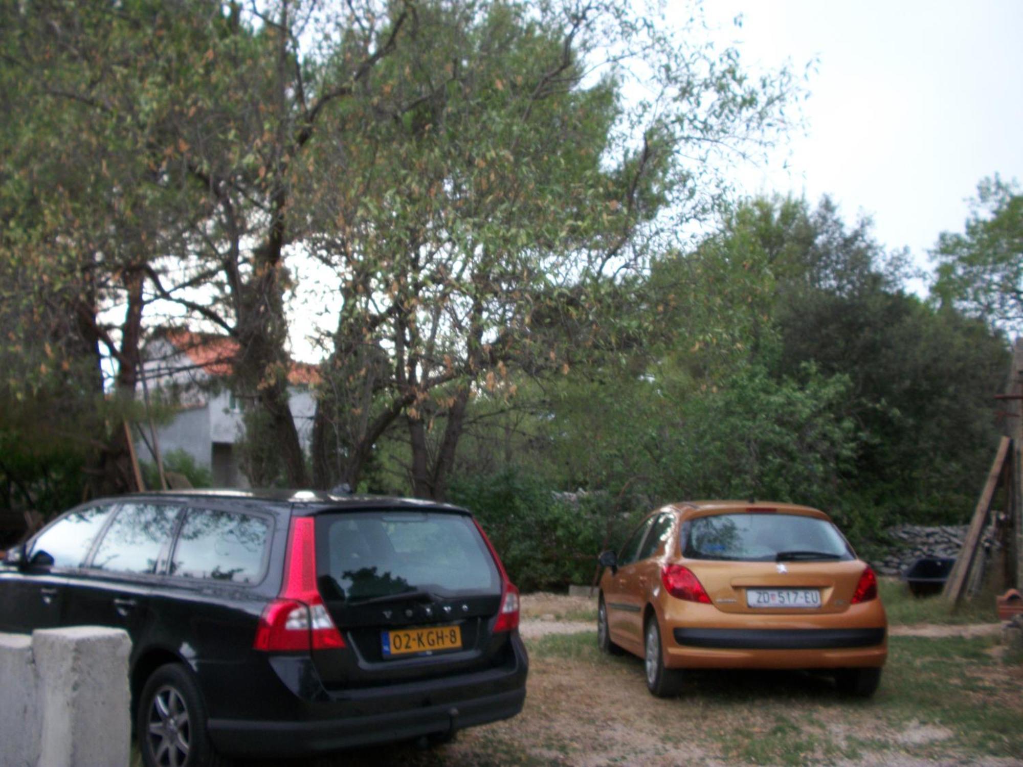 Apartments Mirjana Petrčane Kültér fotó