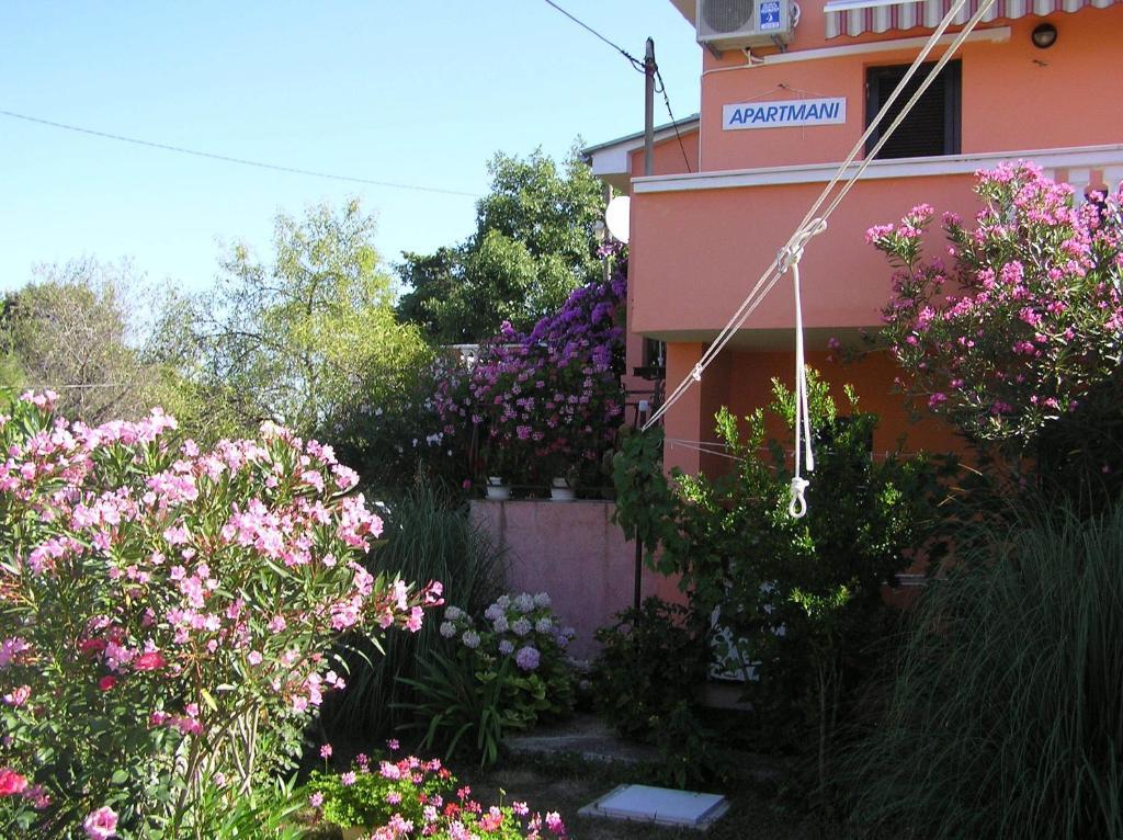 Apartments Mirjana Petrčane Kültér fotó