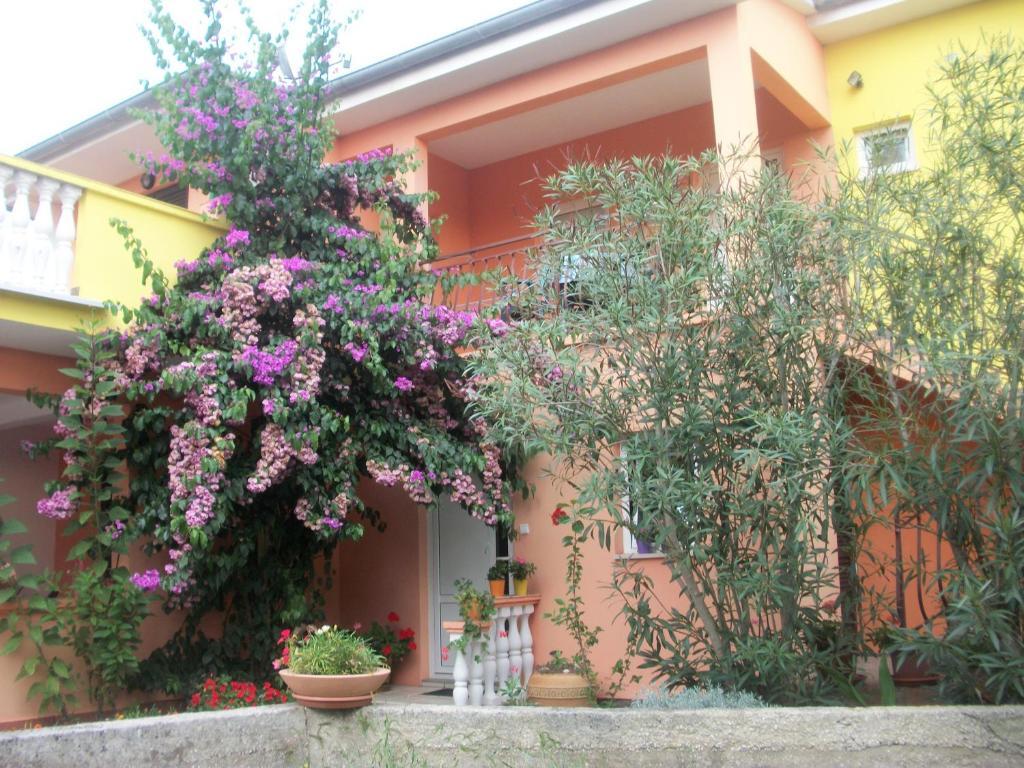 Apartments Mirjana Petrčane Kültér fotó