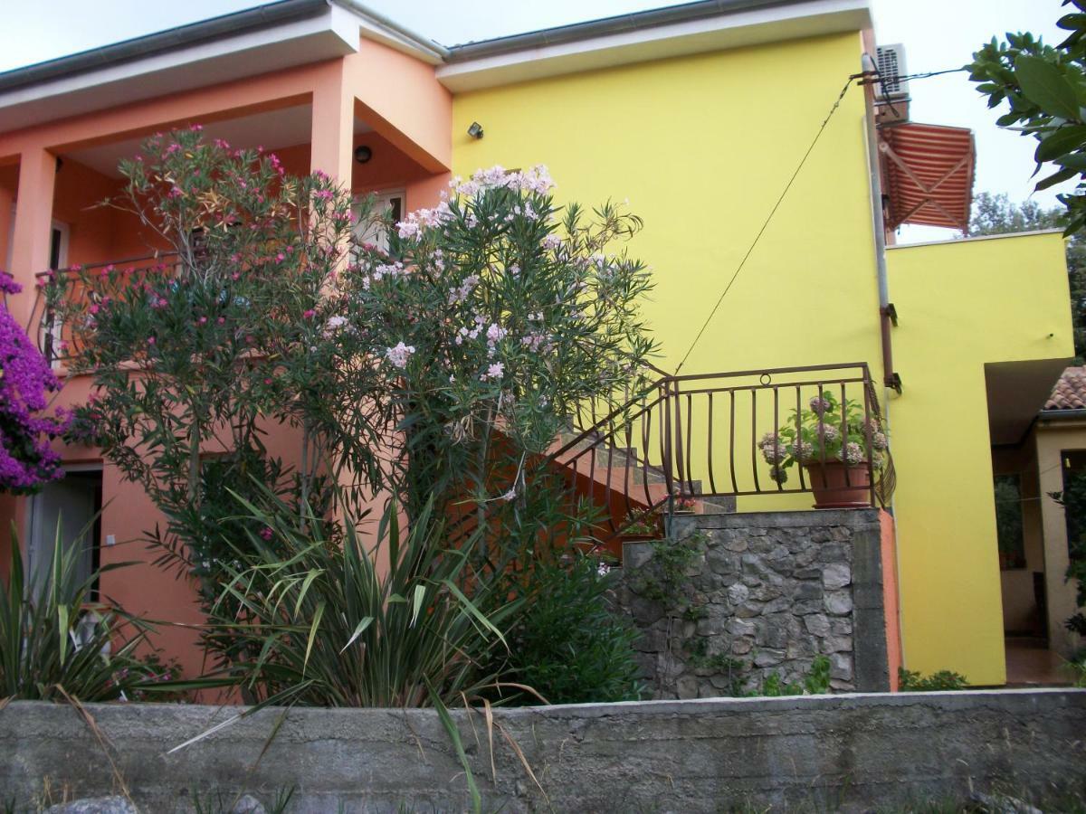Apartments Mirjana Petrčane Kültér fotó