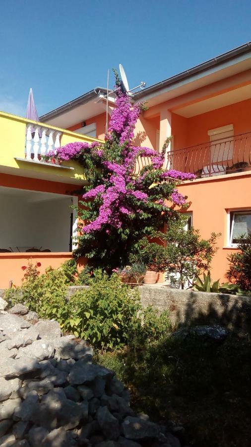 Apartments Mirjana Petrčane Kültér fotó